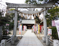 イメージ画像