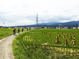 観光サイクリング