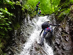 シャワークライミング