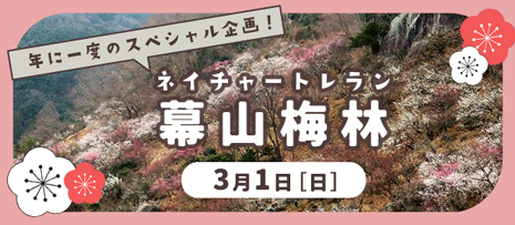 ネイチャートレラン「幕山梅林と周辺の山」