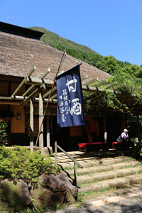観光サイクリング箱根の画像