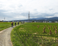 観光サイクリングin金次郎の画像