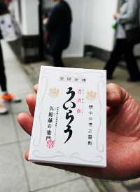 観光サイクリングin金次郎の画像