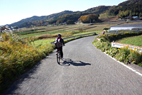 写真1
