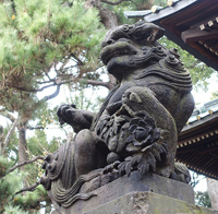 イメージ画像