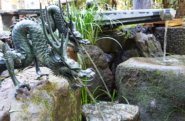 観光サイクリングin秦野