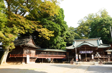 観光サイクリングin古河