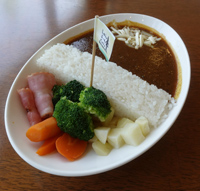 観光サイクリングin愛川町