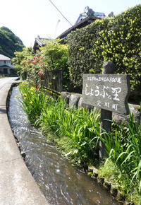 観光サイクリングin愛川町