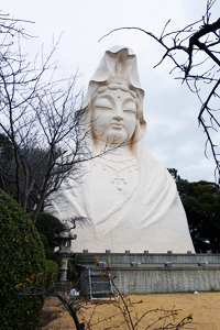 イメージ画像