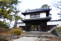 イメージ画像