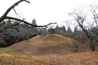 イメージ画像