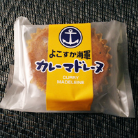 観光サイクリングin横須賀