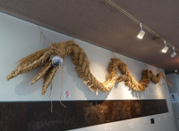 観光サイクリングin清瀬市