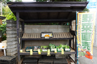 観光サイクリングin小平