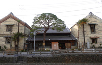 観光サイクリングin栃木
