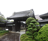 観光サイクリングin手賀沼