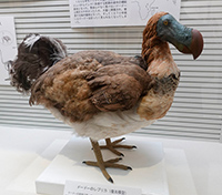 観光サイクリングin手賀沼