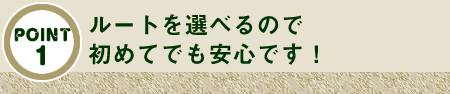 ルートを選べるので初めてでも安心です!