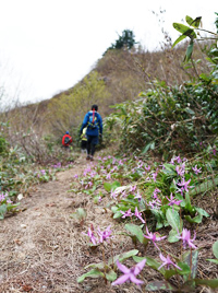 権現堂山画像