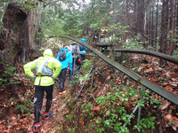 朝ラーからの八高山と川根散策画像