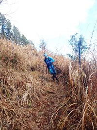朝ラーからの八高山と川根散策画像