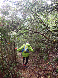 朝ラーからの八高山と川根散策画像