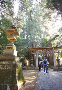 イメージ画像